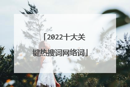 2022十大关键热搜词网络词