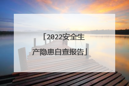 2022安全生产隐患自查报告