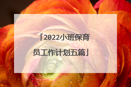 2022小班保育员工作计划五篇