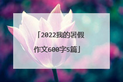 2022我的暑假作文600字5篇