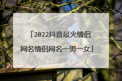 2022抖音最火情侣网名情侣网名一男一女