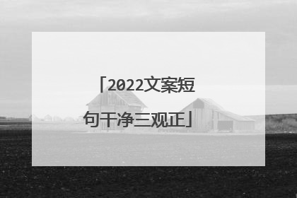 2022文案短句干净三观正