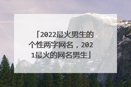 2022最火男生的个性两字网名，2021最火的网名男生