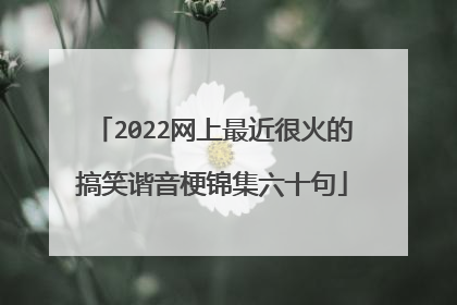 2022网上最近很火的搞笑谐音梗锦集六十句