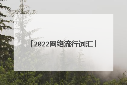 2022网络流行词汇