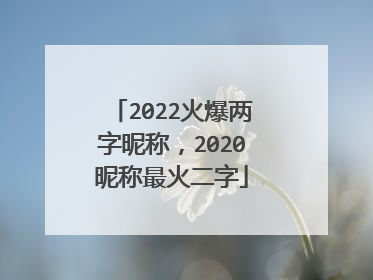 2022火爆两字昵称，2020昵称最火二字