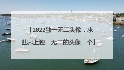 2022独一无二头像，求世界上独一无二的头像一个