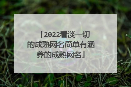 2022看淡一切的成熟网名简单有涵养的成熟网名