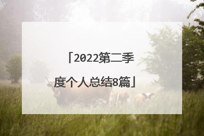 2022第二季度个人总结8篇