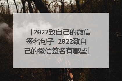 2022致自己的微信签名句子 2022致自己的微信签名有哪些