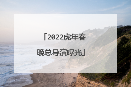2022虎年春晚总导演曝光