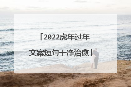 2022虎年过年文案短句干净治愈