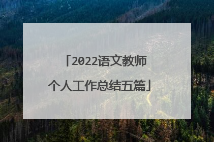 2022语文教师个人工作总结五篇