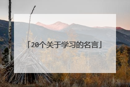 20个关于学习的名言