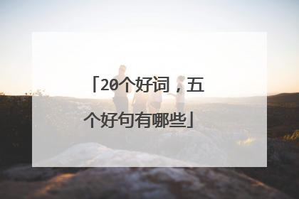 20个好词,五个好句有哪些