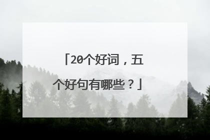 20个好词,五个好句有哪些?