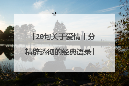 20句关于爱情十分精辟透彻的经典语录