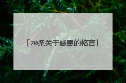 20条关于感恩的格言