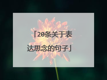 20条关于表达思念的句子