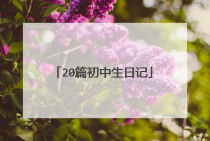 20篇初中生日记
