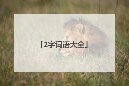 2字词语大全