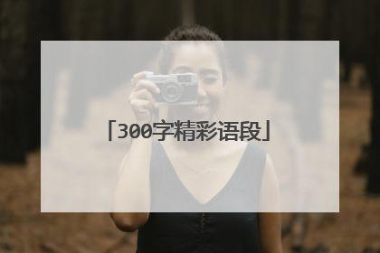 300字精彩语段