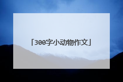 300字小动物作文