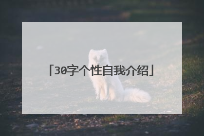 30字个性自我介绍