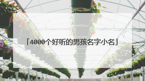 4000个好听的男孩名字小名