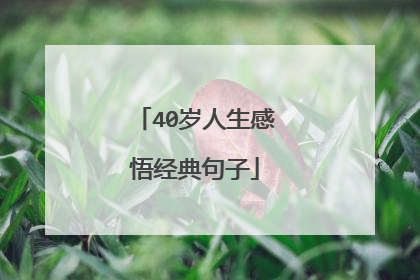 40岁人生感悟经典句子