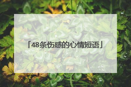 48条伤感的心情短语