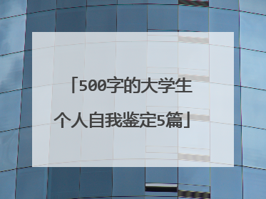 500字的大学生个人自我鉴定5篇