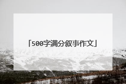 500字满分叙事作文