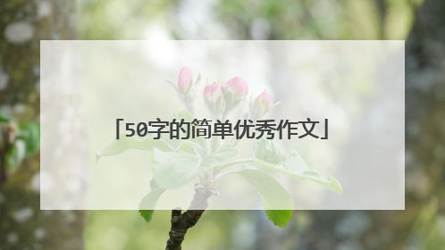 50字的简单优秀作文