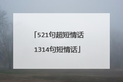 521句超短情话 1314句短情话