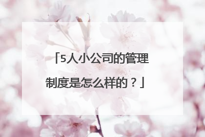 5人小公司的管理制度是怎么样的？