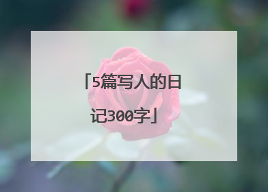 5篇写人的日记300字