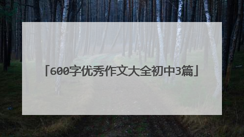 600字优秀作文大全初中3篇