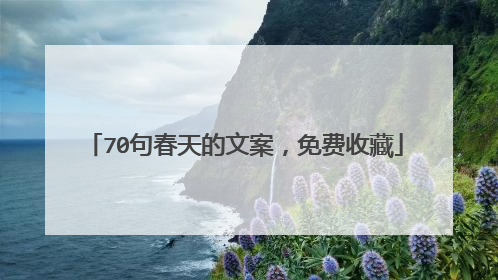 70句春天的文案,免费收藏