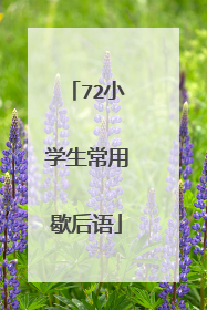 72小学生常用歇后语