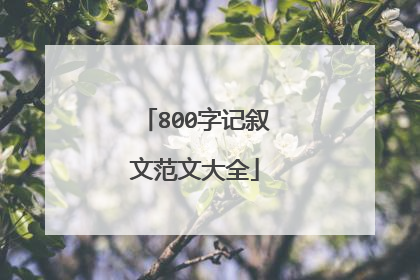 800字记叙文范文大全