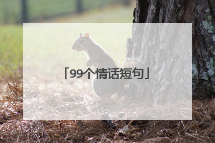 99个情话短句