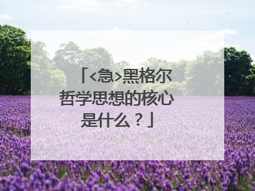 <急>黑格尔哲学思想的核心是什么？