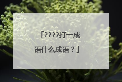 ????打一成语什么成语？