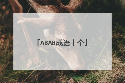 ABAB成语十个