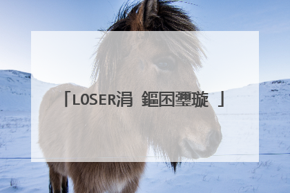 LOSER涓�鏂囨瓕璇�