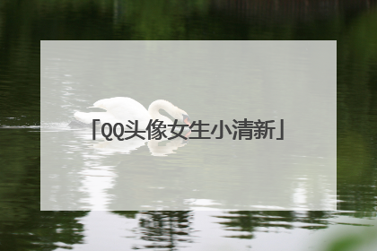 QQ头像女生小清新
