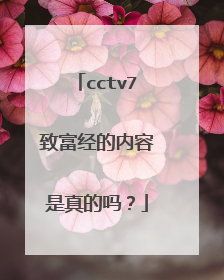 cctv7致富经的内容是真的吗？