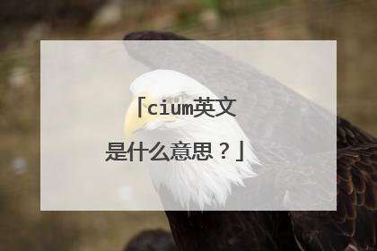 cium英文是什么意思？