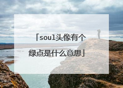 soul头像有个绿点是什么意思